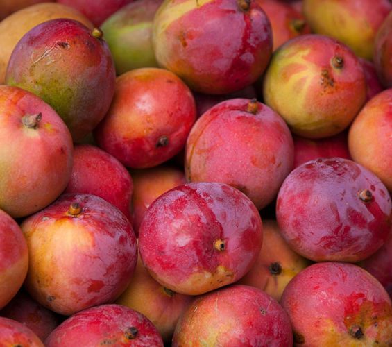 Mangoes