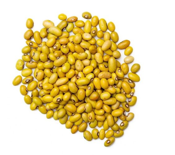 Yellow Beans
